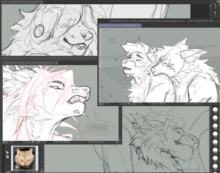 WIPS